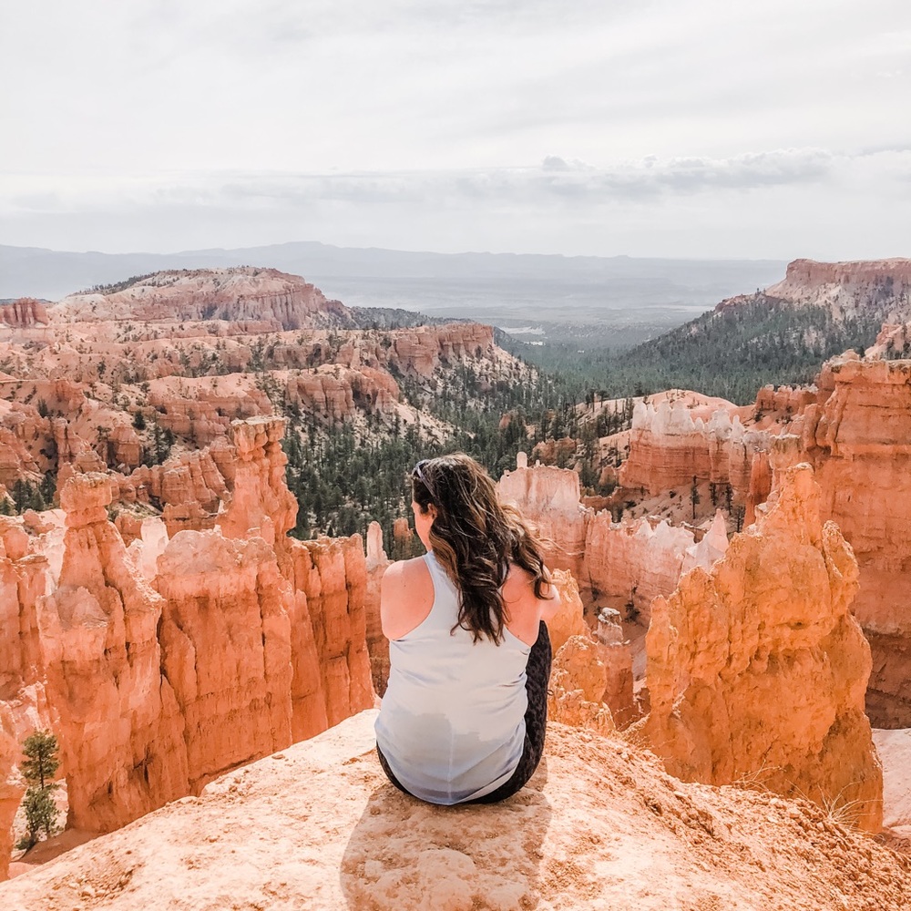 Meet your Posher, Heidi